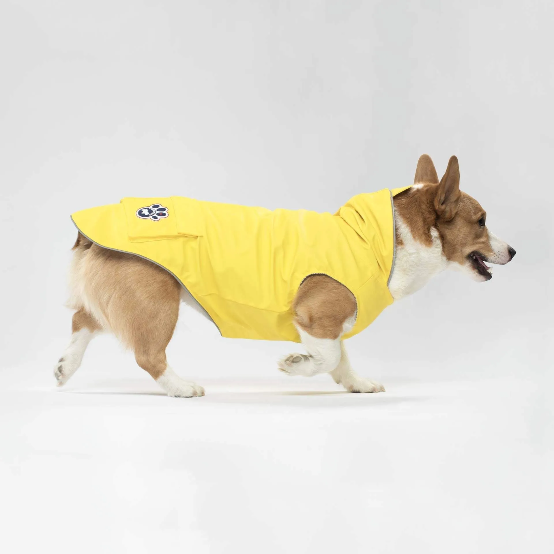 torrential tracker yellow