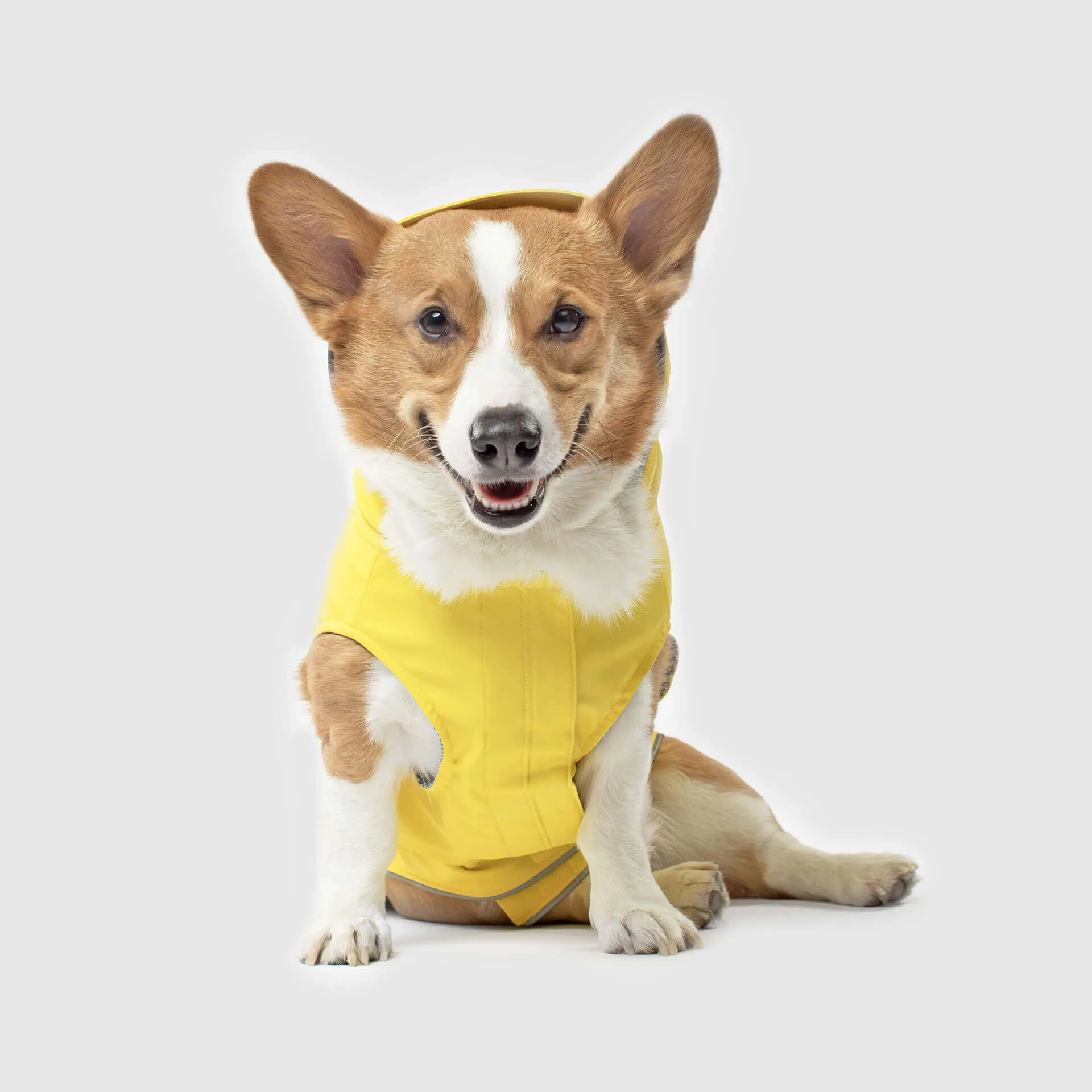 torrential tracker yellow