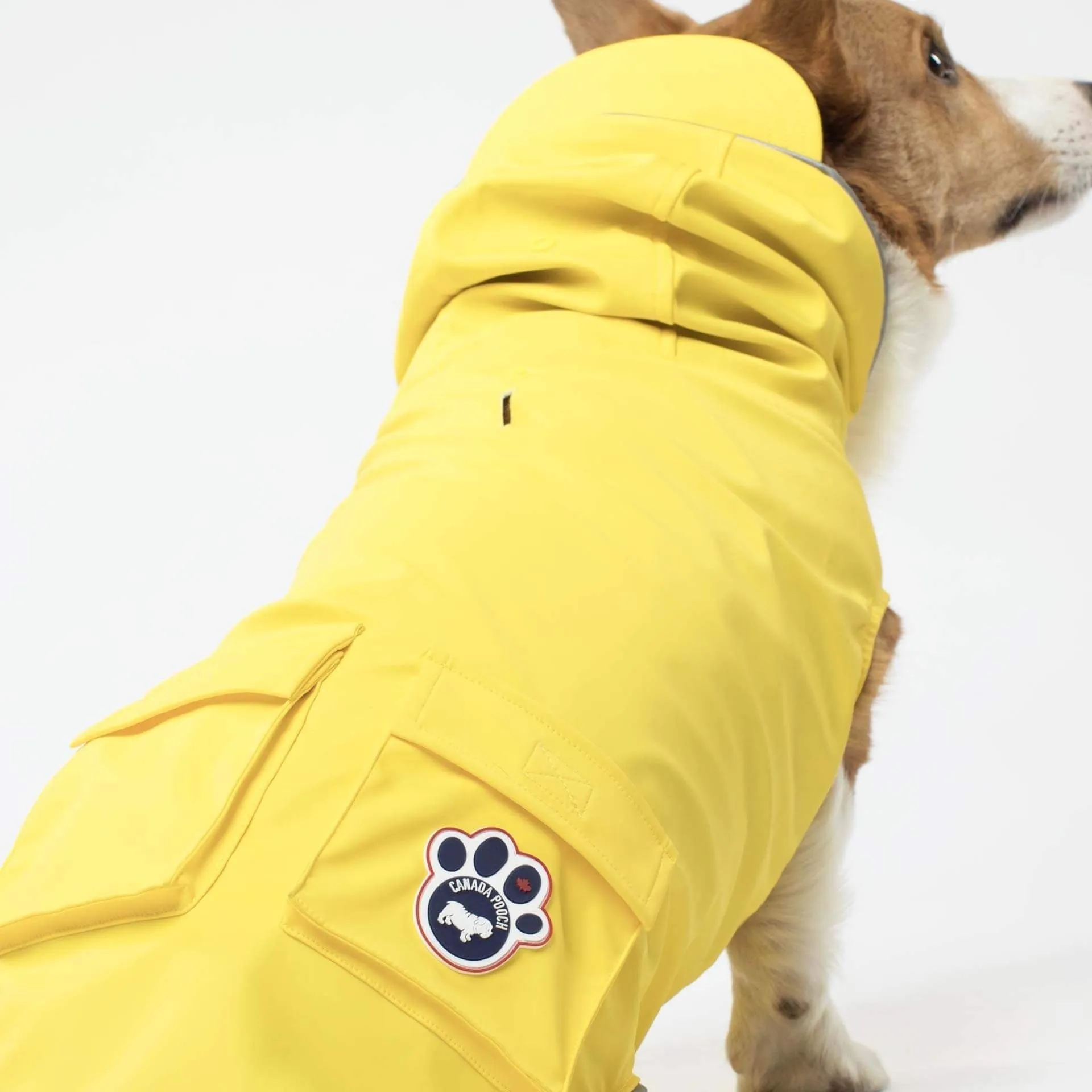 torrential tracker yellow